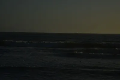 DSC_7264 (Large).JPG